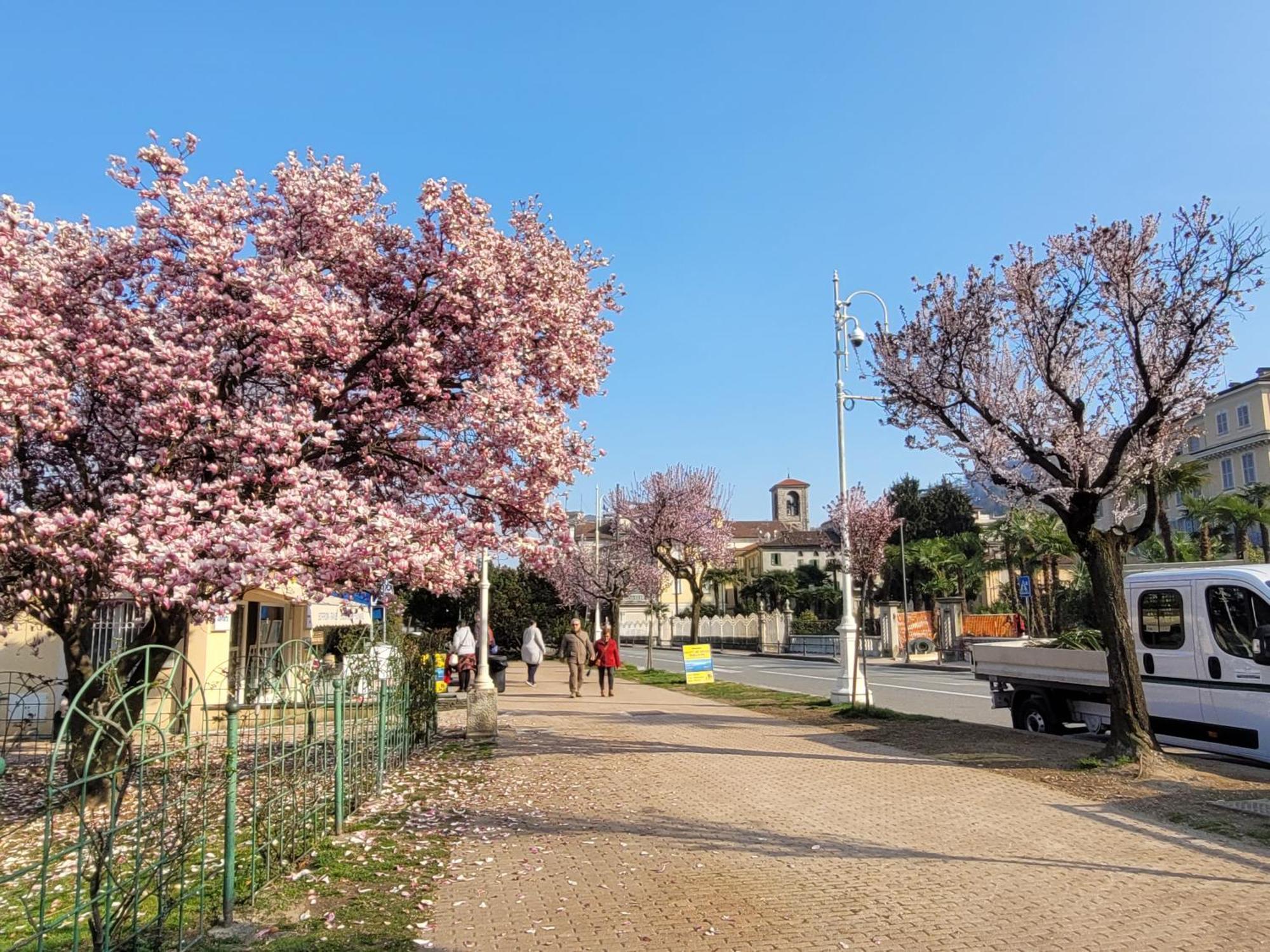 Al Dolce Vita Stresa Dış mekan fotoğraf